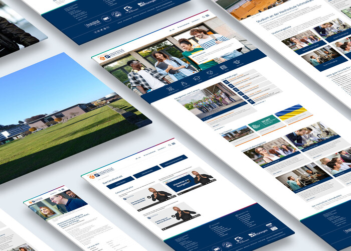 Kacheldarstellung einer Website in verschiedenen Viewports